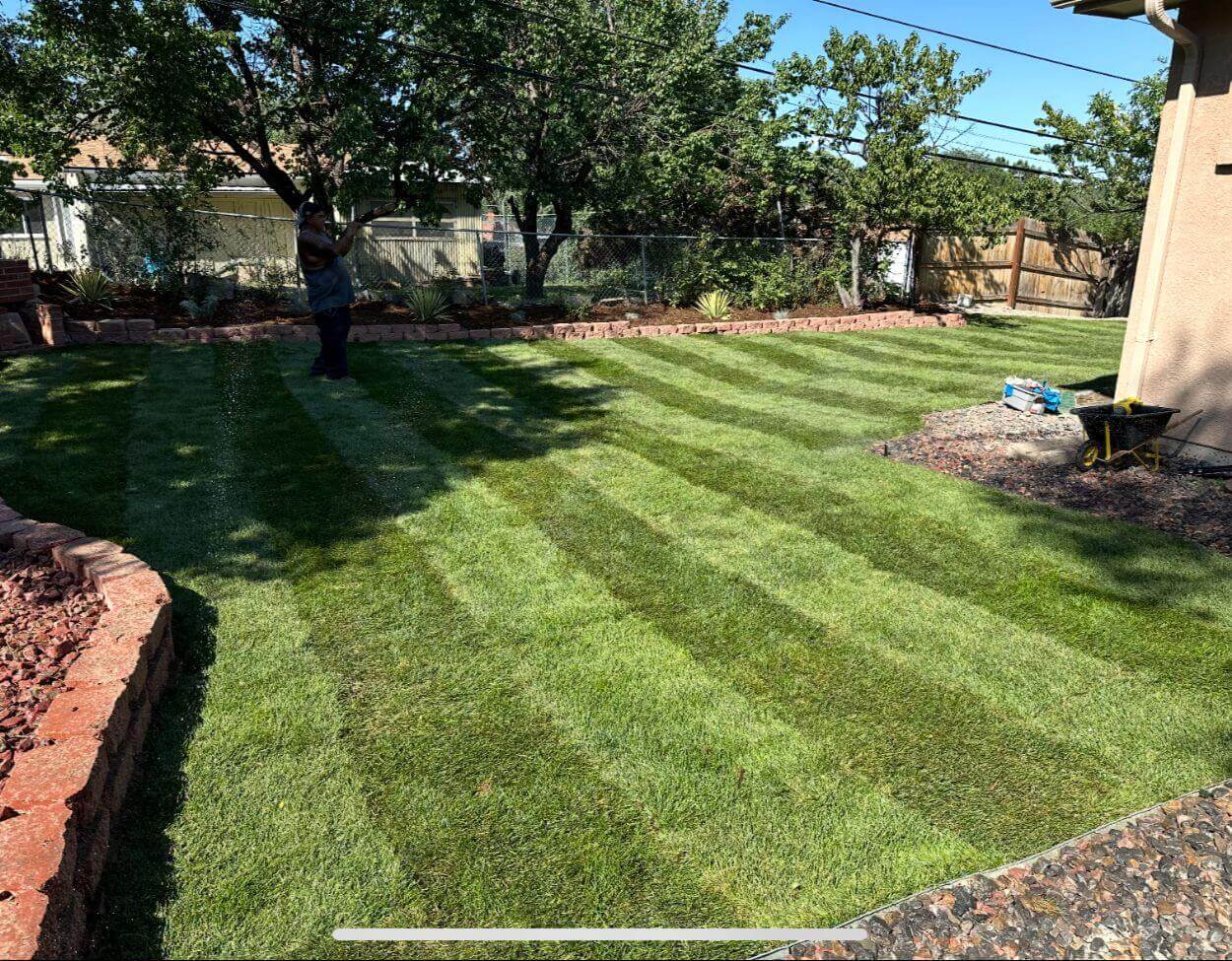 Monarch Commercial Landscape Services