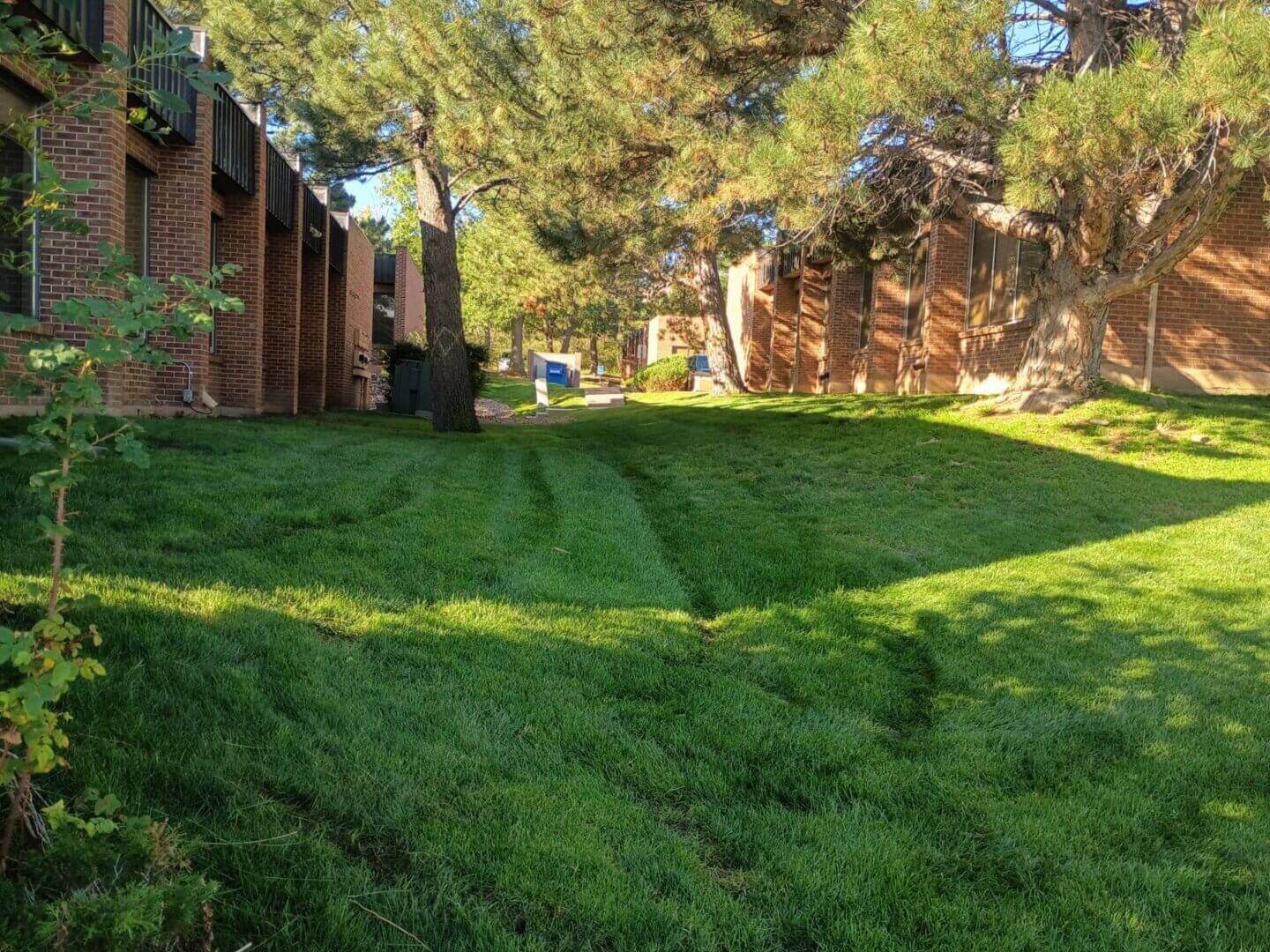 Monarch Commercial Landscape Services