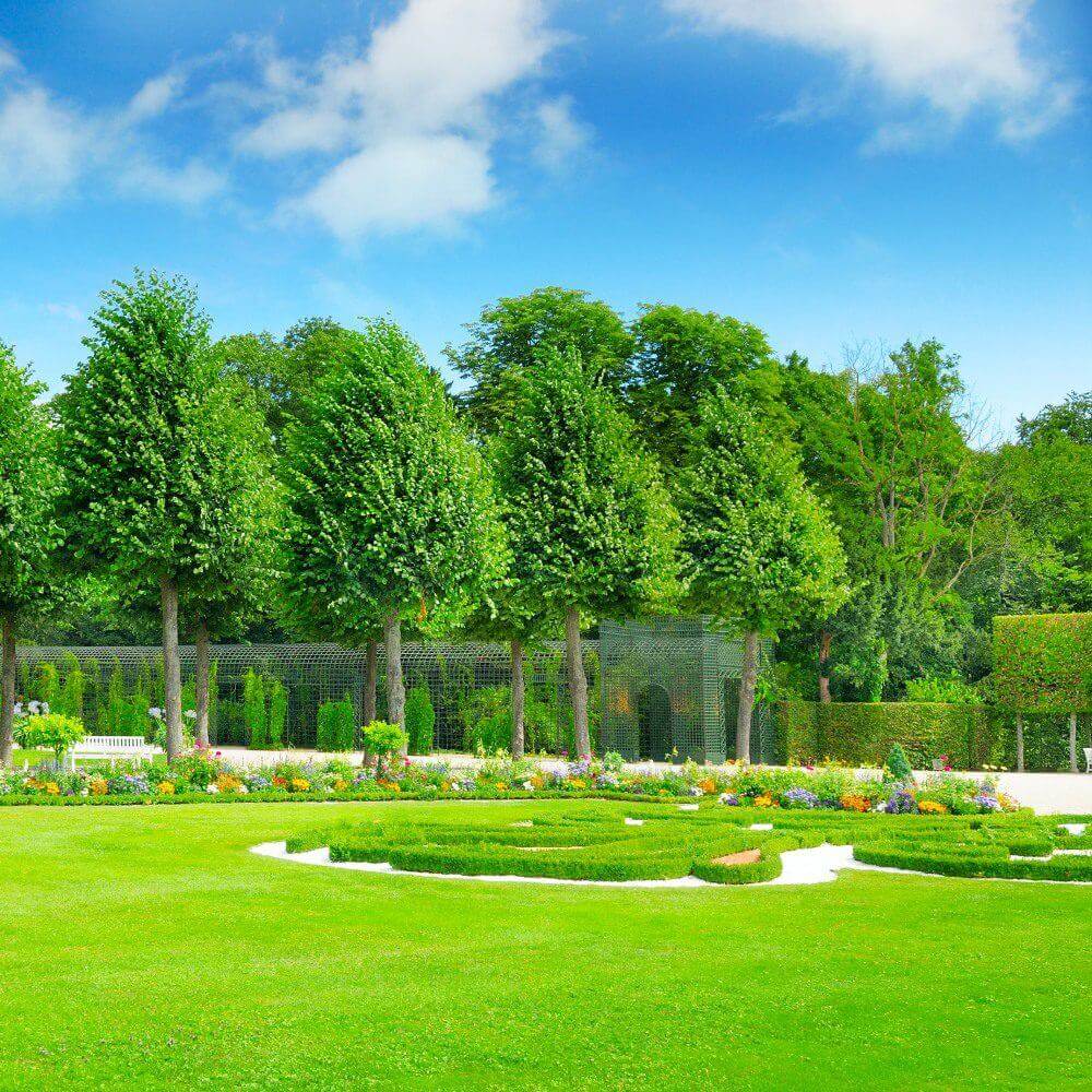 Lush garden with manicured hedges and trees.
