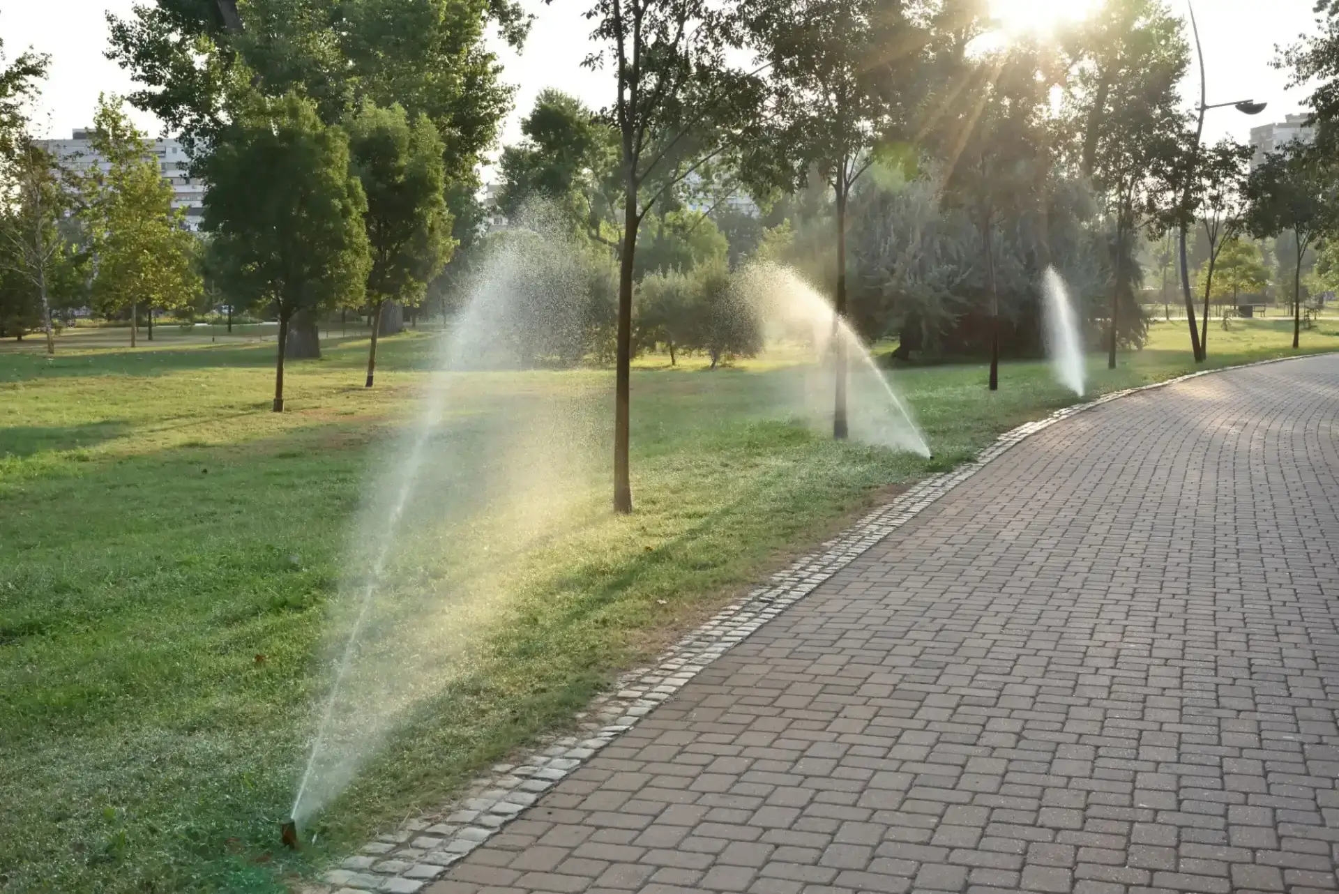 Monarch Commercial Landscape Services