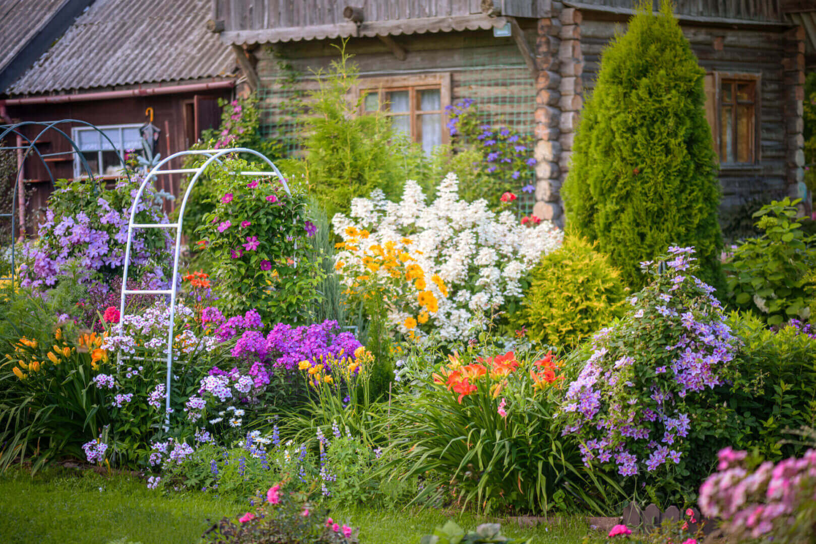 A vibrant garden filled with colorful flowers and greenery in front of a rustic house.
