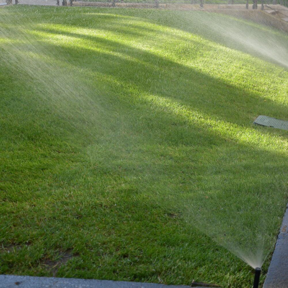Freshly mowed green lawn with striped patterns in sunlight.
