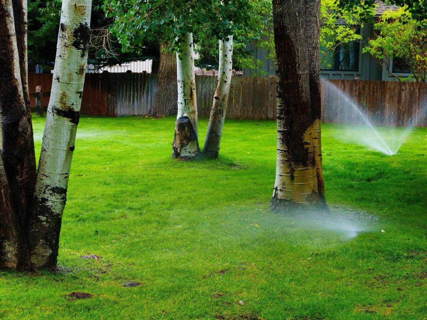 Sprinklers watering green grass among trees in a garden.