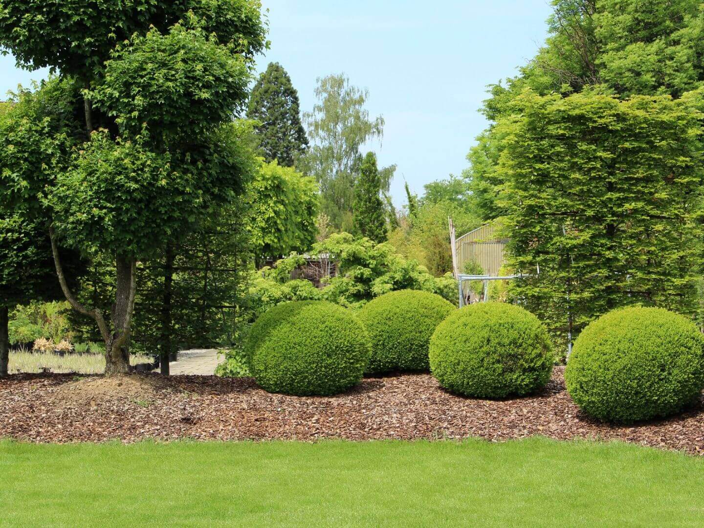 A lush garden with trimmed bushes and trees under a clear blue sky.