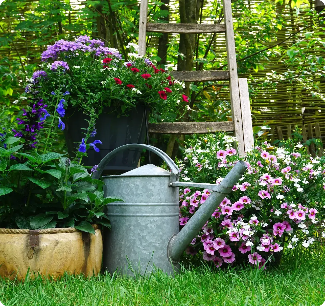 Monarch Commercial Landscape Services